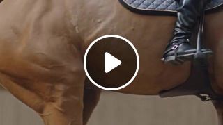 Seeing The Stride The Story of Tess Carmichael, British Show Jumper