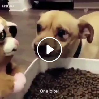 Can i have a bite