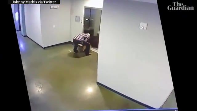 Man saves dog after leash gets caught in elevator door, animals pets.