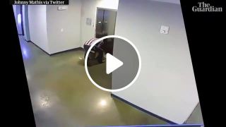 Man saves dog after leash gets caught in elevator door