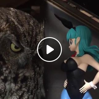 Owl and figurine