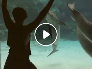 Girl makes dolphin laugh