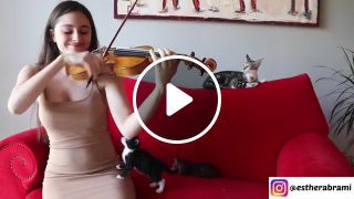 Kitten's Reaction To Me Playing The Violin