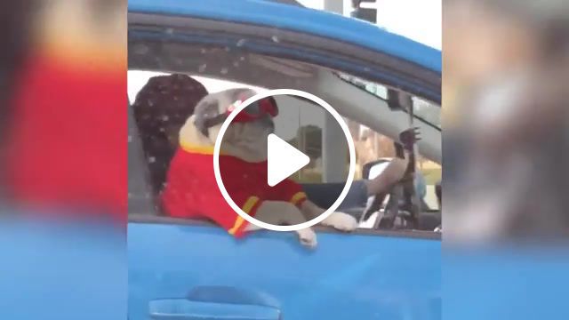 Really cool pug, dog, funny dog, doggo, summer dog, coolest dog, cool dog, try not to laugh, compilation, cute, pet, pets, funniest, laugh, cat, funny animals, dogs funny, animals pets. #0