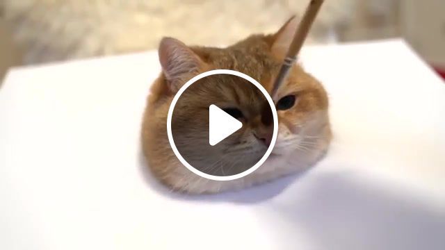 Today is master cl how to paint a cat, animals, pets, cat, cute, draw, relax, cats, youtube, animals pets. #0