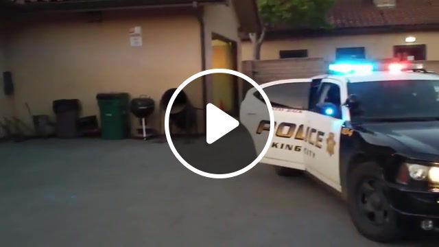 Police angry dog k9, police brutality, police, music, humor, hd, lol, funny, dog, funny animals, animals, hot, new, animals pets. #0