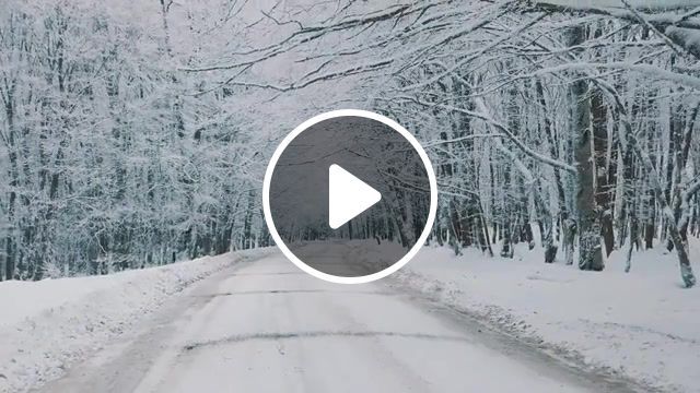Silent winter, music, winter, snow, atmosphere, fexon, live, nature travel. #0