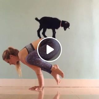 A Little Beat Yoga