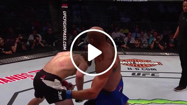 Donald cowboy cerrone, ufc, top, finishes, knockout, submission, ko, punch, kick, matt, brown, head, rick, story, cowboy, donald, cerrone, jim, miller, alex, oliveira, rnc, triangle, highlights, mma, ultimate fighting championship, sports. #0