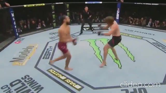 Fastest in ufc history makes the crowd drop their jaws, knockout, sports.