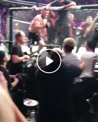 You do not mess with khabib