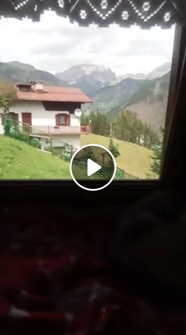 Sleep, Cat, Dolomites, Mountain, Sleep, Kitty, Window, Chill, Animals Pets