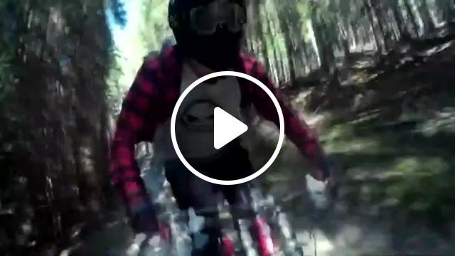 Welcome to my world, selfie, downhill, specialized, big hit, jumpline, kl'inovec, cz, fast, jump, drop, amateur, homemade, selfie stick, camera, angle, long, face, full face, mtb, moutain bike, head, gogles, dh, rubin, sick, freeride, crazy, speed, flow, edit, sj cam, cheap, author arh, oneal, furry, california, 100 gogles, style, shirt, happy, perfect loop, extasy, dope, corners, sports. #0