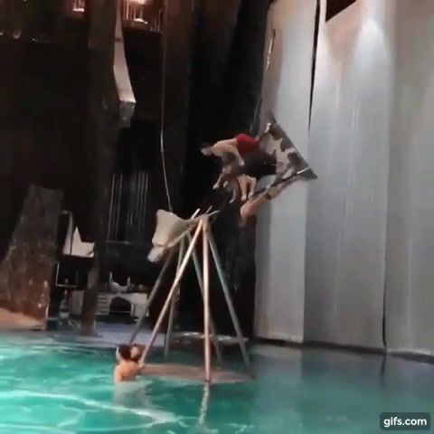 Swinging in the pool, Sports
