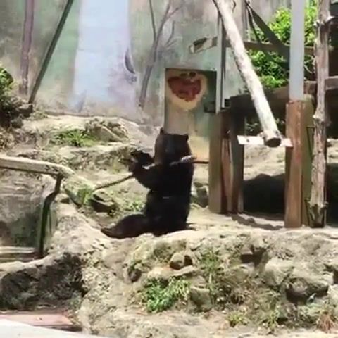 Exercise for the World Championship of Kung Fu Panda