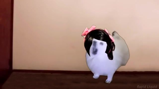 Hit or Miss - Video & GIFs | rapid liquid,hit or miss,tik tok,doggo memes,gabe the dog,i guess they never miss,huh,you got a boyfriend,hit or bork,tik tok memes,cosplay,doggocosplay,perros,perros tik tok,shibes,animals pets