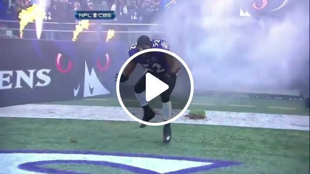 Ray lewis's squirrel dance, baltimore ravens, linebacker, ray lewis, ravens, nfl, hall of famer, canton, hof, american football, american football player, baltimore, squirrel dance, squirrel, dance, show, 52, music hot in herre by nelly, dancing, newer, sports. #0