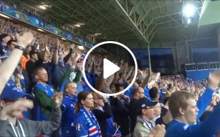 Iceland fans and the cow