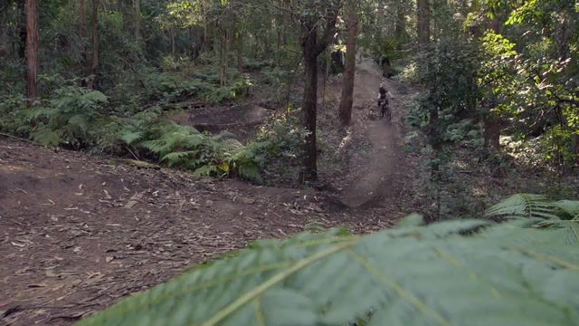 Snakestyle, House Of Pain, Road, Extreme Sports, Adrenaline, Action Sport, Possums, Extreme, Australia, Wollongong, Snakestyle, Stumpjumper, Specialized, Fs700, Sony, Filmed, Self, Captivate, Sports