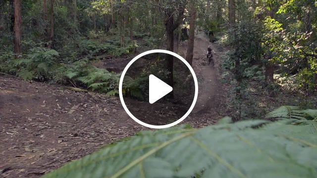 Snakestyle, house of pain, road, extreme sports, adrenaline, action sport, possums, extreme, australia, wollongong, snakestyle, stumpjumper, specialized, fs700, sony, filmed, self, captivate, sports. #0