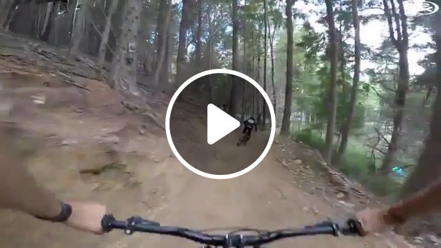 Speed mtb in the woods, cycling, sport, fitness, sports. #1