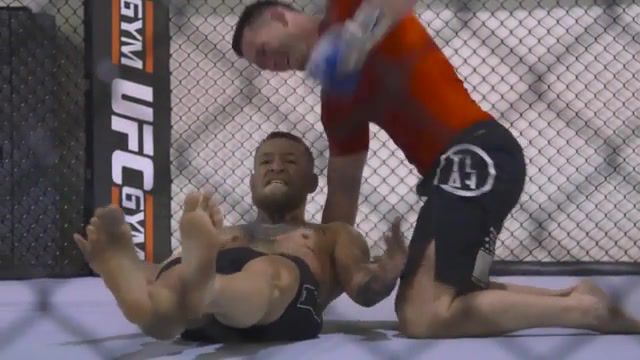 UFC 202 Embedded Vlog Series - Video & GIFs | ultimate fighting championship,mma,202,johnson,rumble,anthony,diaz,nate,mcgregor,conor,embedded,ufc,sports