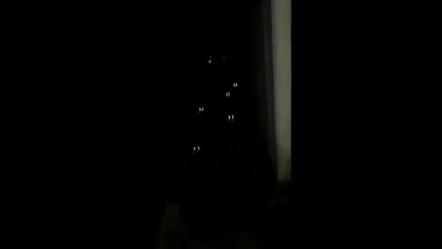 Raccoons as somebodies, adele, look around, king, live, love, cute animals, nice music, pilferer, music, funny moments, love it, mind control, be careful, feeding, raccoon, animals pets.