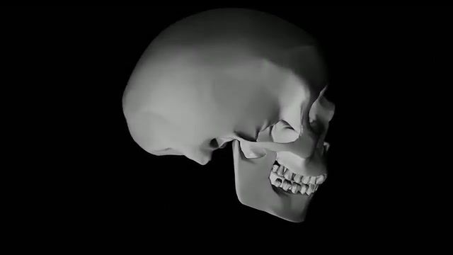 Skull 4 fourphonica, sculpting, maya, 3d, glitch, cg, fourphonica, skull, art, art design.