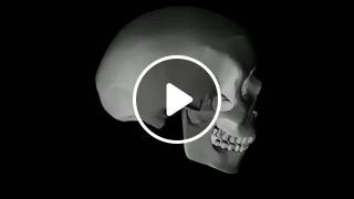 Skull 4 Fourphonica