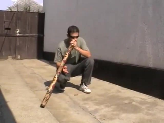 Didg'n'B - Video & GIFs | didgeridoo,yidaki,dubstep,didjeridoo,didjeridu,dnb,mago,woody,woodpecker,kitten,puppy,puppies,music