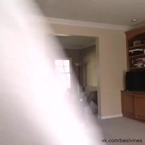 Call the exorcist - Video & GIFs | sports