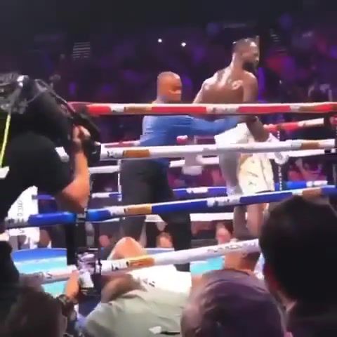 I'll Whip Your Head Boy - Video & GIFs | wilder,bronzebomber,boxing,ringtv,ko,knockout,fighting,50cent,bestko,bombsquad,sports