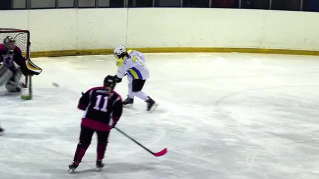 Scar - Video & GIFs | hockey women,sports