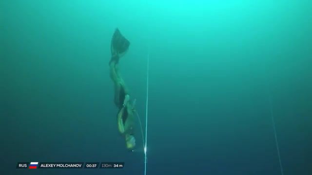 VB Alexey Molchanov's World Record Dive to 130m, Dive, Apnea, Alexey Molchanov, Deep Dive, Freediving, Vb, Deans Blue Hole, Vertical Blue, Bahamas, Big Blue, Sports