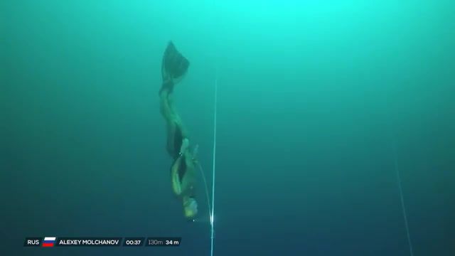 Vb alexey molchanov's world record dive to 130m, dive, apnea, alexey molchanov, deep dive, freediving, vb, deans blue hole, vertical blue, bahamas, big blue, sports.