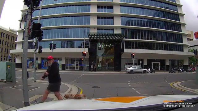 Angry pedestrian gets instant karma - Video & GIFs | angry pedestrian instant karma dash cam dashcam funny