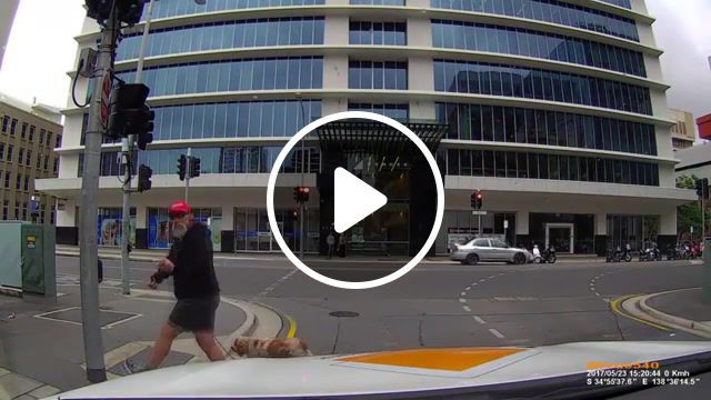 Angry pedestrian gets instant karma, angry pedestrian instant karma dash cam dashcam funny. #0