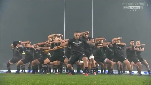 Rugby maori all blacks, rugby, haka, maori, sport, tribe, savages, boys, fighters, sports.