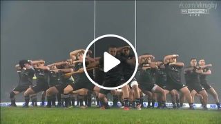 Rugby Maori All Blacks