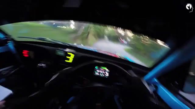 Insane rally, rally, car, vehicle, cars, road, trophy, sports.