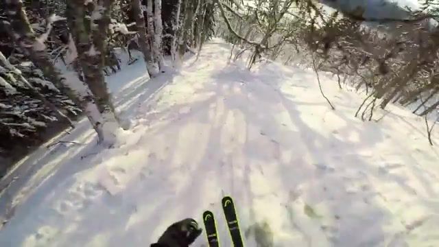 Snow Forest, Gopro, Hero Camera, Stoked, Rad, Hd, Hero, Epic, Hero 2, Hero 3, Hero 4, Hero4 Session, Hero5 Session, Hero 4 Session, Session, Black, Silver, Action, Beautiful, Great, Sports