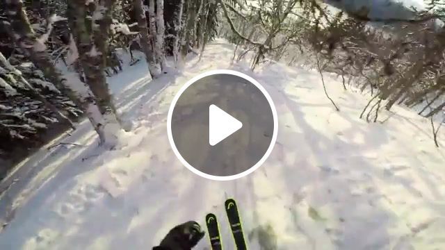 Snow forest, gopro, hero camera, stoked, rad, hd, hero, epic, hero 2, hero 3, hero 4, hero4 session, hero5 session, hero 4 session, session, black, silver, action, beautiful, great, sports. #0