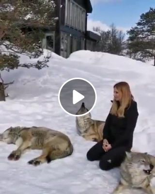 Woman and wolves howl