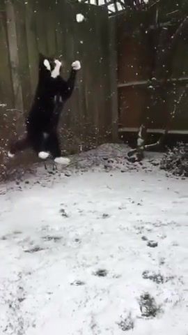 Catching snowballs