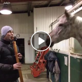 This horse feels the beat