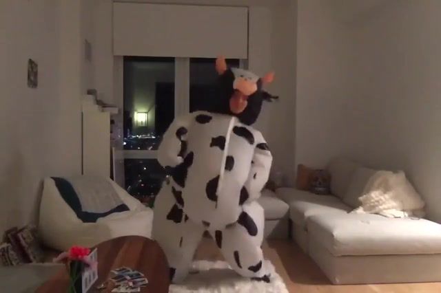 I KEPT MY COW SUIT FOR A REASON. Cow CamrenBicondova