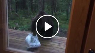 Funny finnish man scares a bear away by shouting perkele