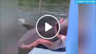 Naughty dolphin