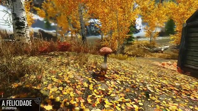 Skyrim on drugs, Latest, Patch, Steam, Skyrim Mods Weekly, Game, Spotlight, Install, Top, Pc, Adventure, Best, Updated Mods, Nexus, Skse, Glitch, Tutorial, How To, Outfit, Skimpy, Body, Glitches, Montage, Cheats, The Elder Scrolls V Skyrim, Mod Review, V Skyrim, The Elder Scrolls Skyrim, Mod Spotlight, Mod, V, Review, Gameplay, Mods, Skyrim, Tes, Scrolls, Modded, Skyrim Mods, Gaming