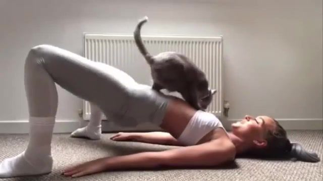 Home workout with cat, girl, beauty, beautiful, motivation, fitness, fit, fitradar, personal trainer, funny, workout, cat, sports.